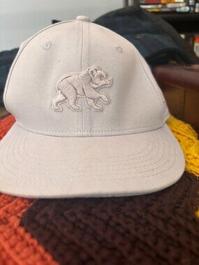 Grey Chicago Cubs Snapback
